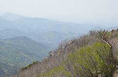 서쪽 경치 사진