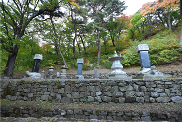 부도전 사진