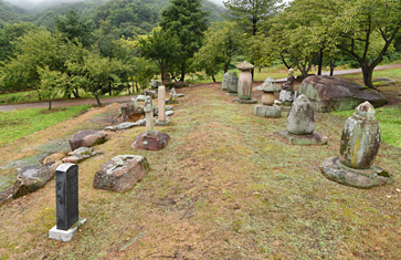 부도전 사진