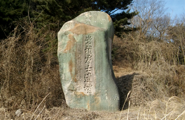숭정처사유허비 사진