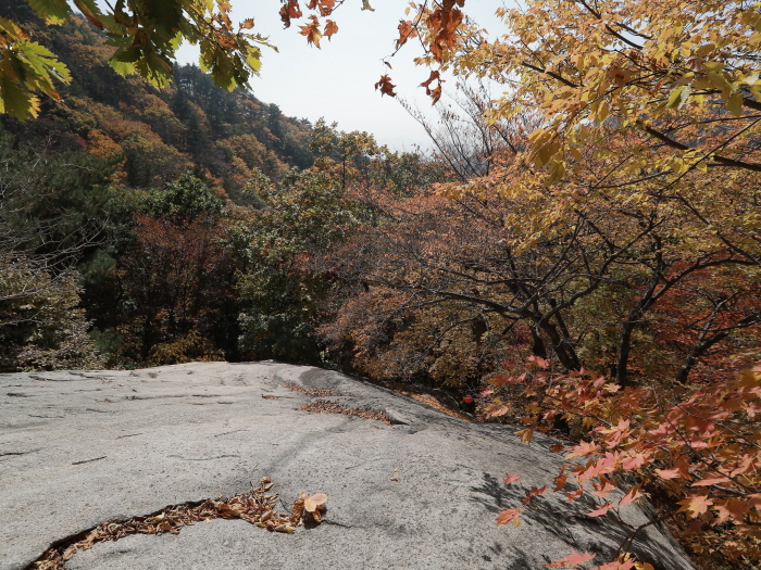 일인석 전경