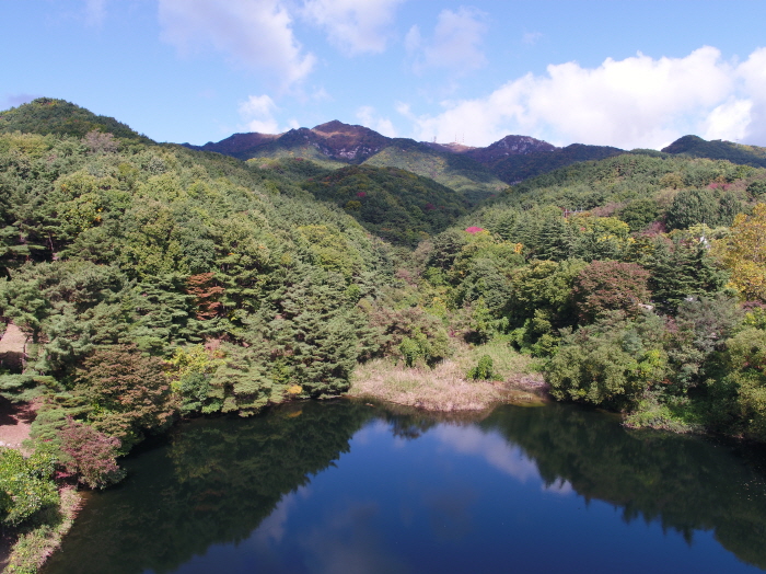 용문동 전경